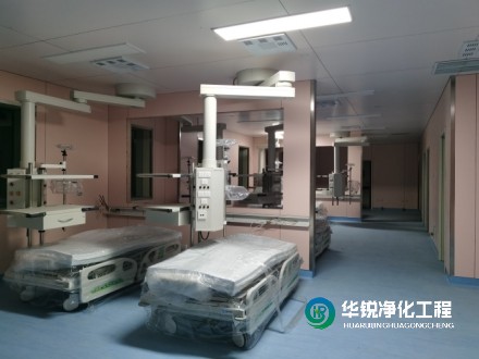 icu的特殊功能區(qū)有什么作用？